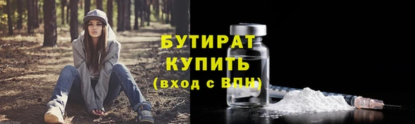 прущие грибы Приозерск