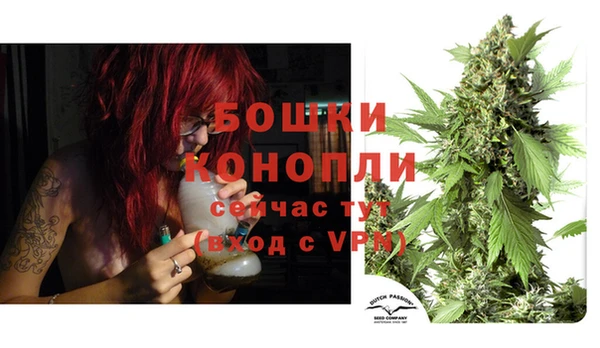 бутират Богородицк