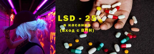 ГАЛЛЮЦИНОГЕННЫЕ ГРИБЫ Богданович