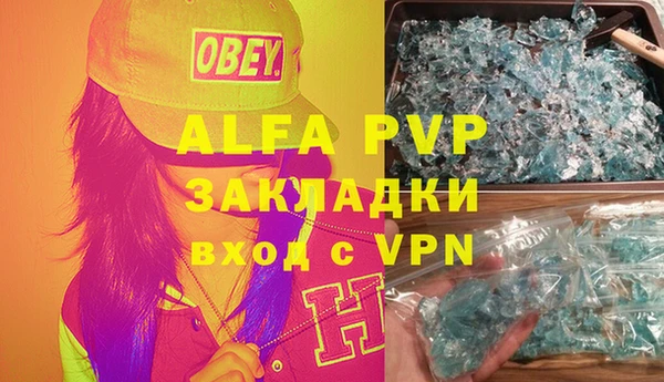 ГАЛЛЮЦИНОГЕННЫЕ ГРИБЫ Богданович