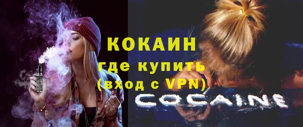 прущие грибы Приозерск